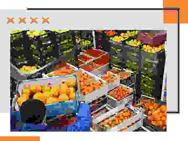 Перевозка скоропортящихся продуктов в Елизово